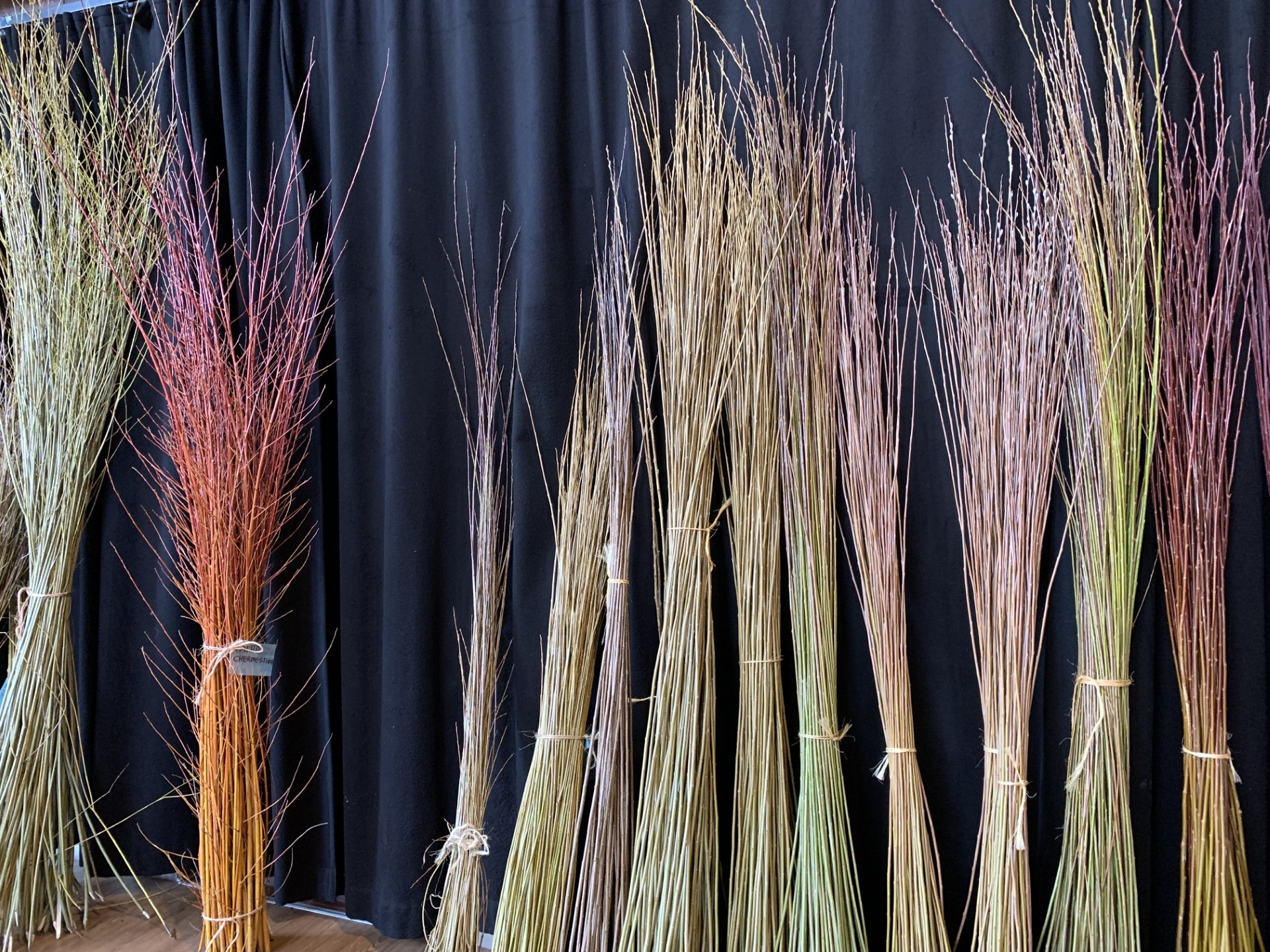 Digital träff om pilodling